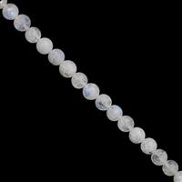50cts Rainbow Moonstone Smooth Round Approx 4.50 to 5mm, 30cm Strand 