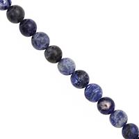 200cts Sodalite Smooth Round Approx 10 to 10.50mm, 31cm Strand