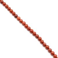 300cts Red Jasper Plain Rounds Approx 6mm, 1 Metre Strand