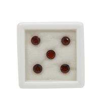 1.20cts Garnet Round Approx 4mm Pack of 5 (N)