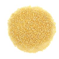 Miyuki Silver Lined Pale Gold Seed Beads 11/0 (23GM/TB)