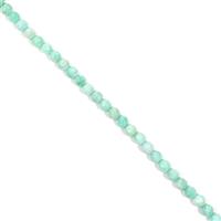 223cts Russian Amazonite Faceted Rounds Approx 10mm, 38cm Strand