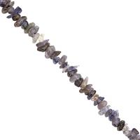 300cts Iolite Nugget Approx 2x1 to 9x2mm, 100 inch Gemstone Strand