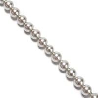Silver Shell Plain Rounds Approx 8mm, 38cm Strand