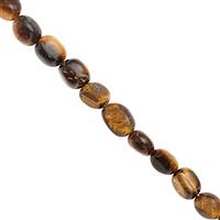 140cts Tigers Eye Smooth Tumble Approx 6x4 to 10x7mm, 38cm Strand 