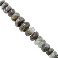15cts Alexandrite Graduated Plain Rondelles Approx 2.5x1.5 to 5.5x3.5mm, 8cm Strand