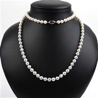 Akoya Cultured Pearl Sterling Silver Necklace (8 x 7mm)