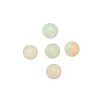0.75cts Honey Opal 4x4mm Round Pack of 5 (N)