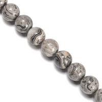 415 cts Earth Jasper Plain Rounds Approx 12mm,38cm Strand