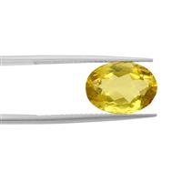 2cts Caribbean Amber 14x10mm Oval (N)