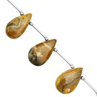 95cts Bumble Bee Jasper Smooth Pear Approx 18x11 to 28x16mm 19cm Strand With Spacers