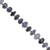  30cts Iolite Graduated Smooth Rondelles Approx 4x2 to 4x3mm, 18cm Strand with Spacers