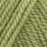 Stylecraft Meadow Special Aran Yarn 100g
