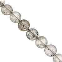 80cts Black Dotted Quartz Smooth Coin Approx 7 to 11mm, 20cm Strand