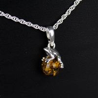 Baltic Cognac Amber Round with 925 Sterling Silver Frog Pendant