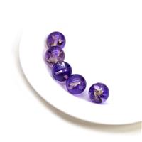 Baltic Violet Ombre Amber 12mm Rounds (5pc)