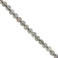 18cts Labradorite Faceted Coin Approx 4mm, 30cm Strand.