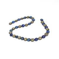 210cts Pyrite & Lapis Lazuli Puffy Coins Approx 10mm, 15" Strand