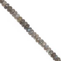 46cts Labradorite Graduated Faceted Roundelles Approx 4x1.5 to 6x3mm, 20cm Strand