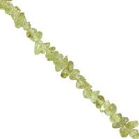 85cts Peridot Nuggets Approx 1 to 6mm, 80cm Strand