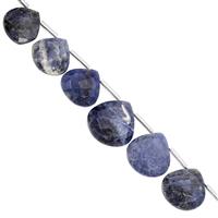 75cts Sodalite Top Side Drill Graduated Faceted Heart Approx 11 to 16mm, 16cm Strand with Spacers