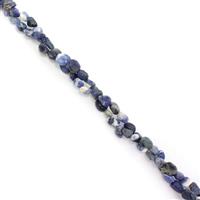 310cts Sodalite Nuggets Approx 5x8mm, 60" Endless Necklace