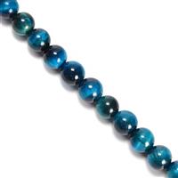 170cts Dyed Teal Tiger Eye Plain Rounds Approx 8mm, 38cm Strand