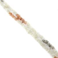 325cts Multi-Colour Moonstone Small Chips Approx 4x1 - 7x4mm, 60" Strand