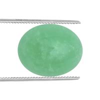 1.5cts Prase Green Opal 10x8mm Oval  (N)