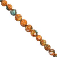 37cts Spiny Oyster Turquoise Plain Round Approx 4 to 6mm, 20cm Strand 