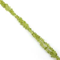 320cts Red Dragon Peridot Small Chips Approx 5x4mm, 60" Strand
