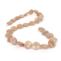 210cts Sunstone Faceted Coins Approx 14mm, 38cm Strand