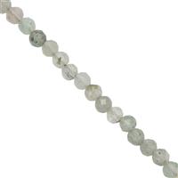 8cts Prehnite Faceted Round Approx 2.15x2.1mm 30cm Strand