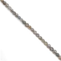 90cts Labradorite Faceted Coins Approx 7mm, 38cm Strand