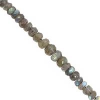 66cts Labradorite Graduated Faceted Roundelles Approx 4.5x2 to 7.5x5mm, 20cm Strand