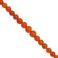 9cts Orange Ethiopian Opal Graduated Plain Round Approx 2 to 5mm, 14cm Strand With Spacers