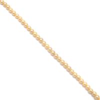 Gold Shell Round Pearl Approx 3mm, 20cm Strand