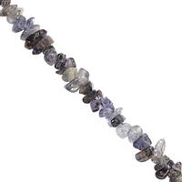 350cts Iolite Bead Nugget Approx 2.5x1.5 to 8x4mm, 2.5m Strand