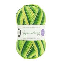 WYS Spring Green Winwick Mum Seasons Signature 4 Ply Yarn 100g