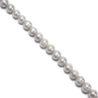 Silver Dyed Freshwater Cultured Potato Pearls Approx 6-7mm  38cm Strand