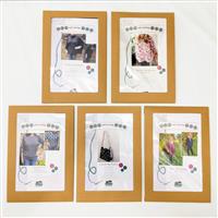 Owl and Sewing Cat Dressmaking Collection 7 - PRINTED PATTERNS set of 4 PLUS BONUS FREE PATTERN 