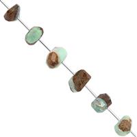 105cts Bi-Colour Chrysoprase Graduated Faceted Unusual Tumble Approx 10x5.5 to 17.5x8.5mm, 17cm Strand with Spacers
