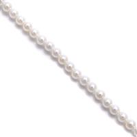 Shell Pearl, white, Approx 3mm, 38cm Strand