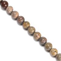 160cts Chinese Picture Jasper Plain Rounds Approx 8mm, 38cm Strand