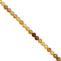 15cts Yellow Tourmaline Faceted Round Approx 3mm, 28cm Strand
