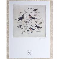 Janet Clare Signed Print - Birds - One - 