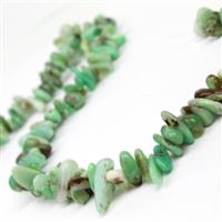 300cts Chrysoprase Long Chips Approx 4x9 - 6x20mm, 38cm Strand