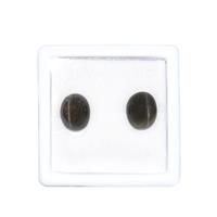 10cts Scapolite Cat