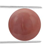 10cts Pink Lady Opal 20x20mm Round (N)