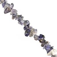 110cts Iolite Bead Nugget Approx 3x2 to 7x3mm, 80cm inch Strand